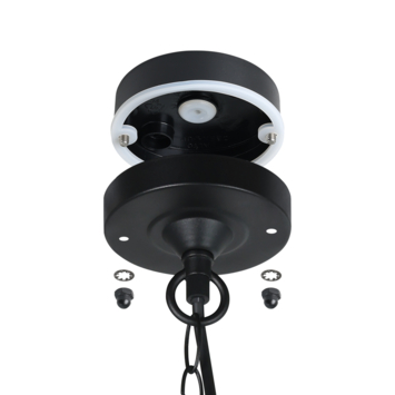 Eglo hanglamp Alamonte zwart