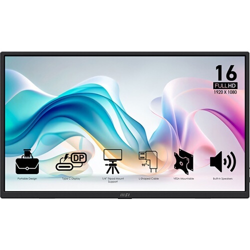 Ecran PC Msi PRO MP165 E6
