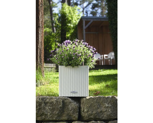 Lechuza Cube Cottage plantenbak, kunststof, 30x30x30 cm, wit