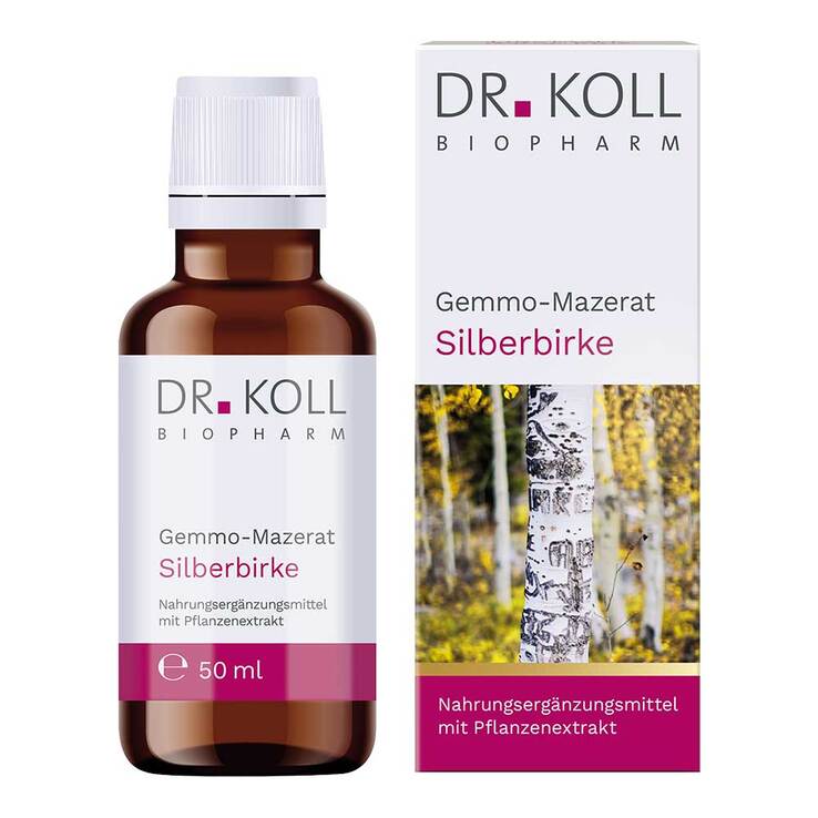 Gemmo-Mazerat Silberbirke Dr. Koll Betula alba Tropfen, 50 ml