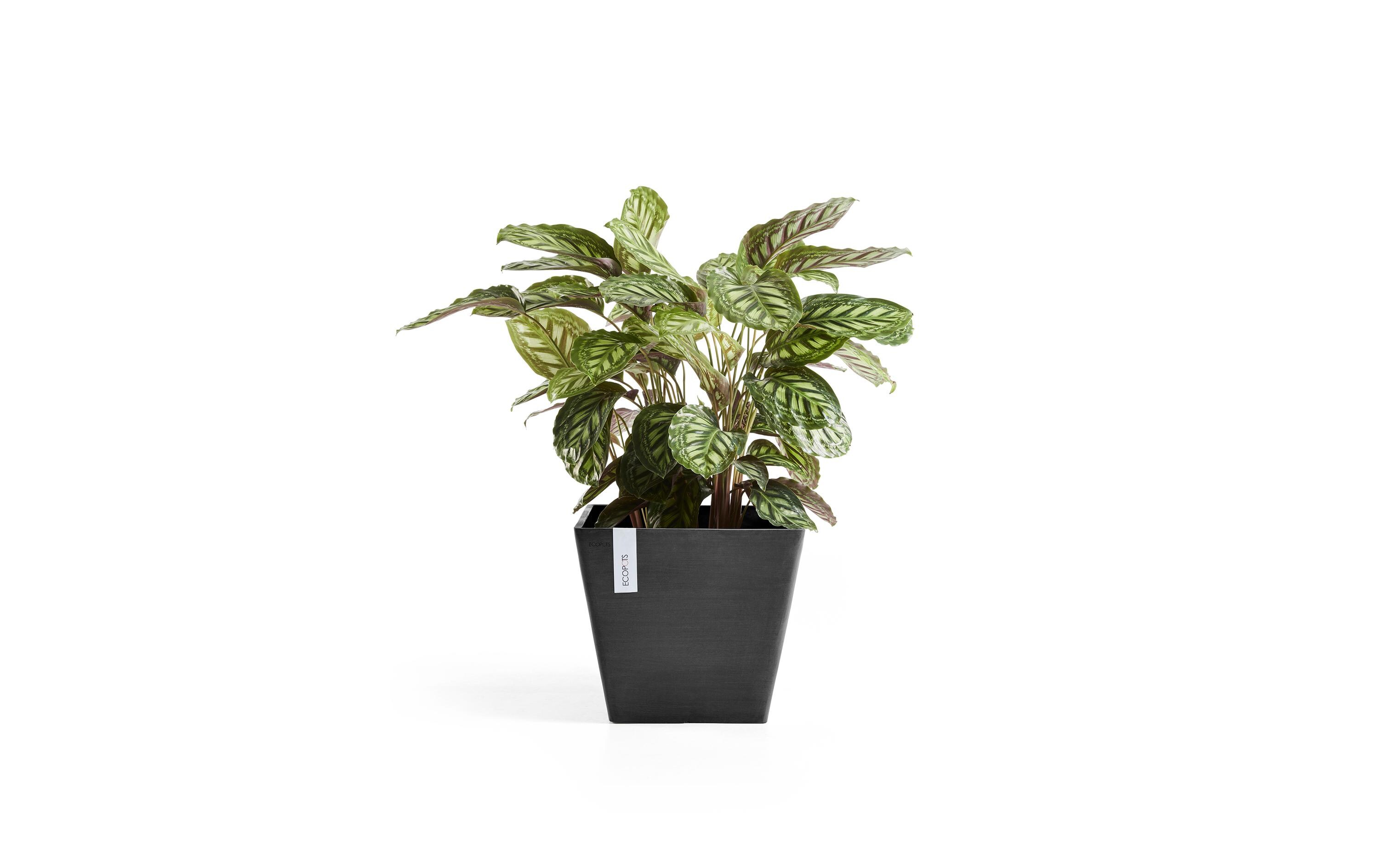 Pflanzentopf Rotterdam 50 DunkelgrauBlumentopf
