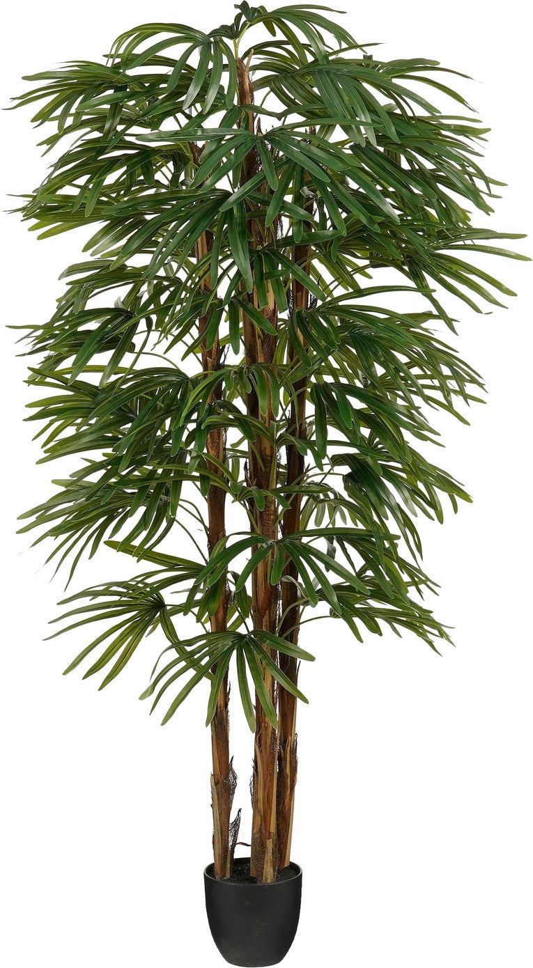 Mica Decorations kunstplant Raphis D 75 H 180 cm