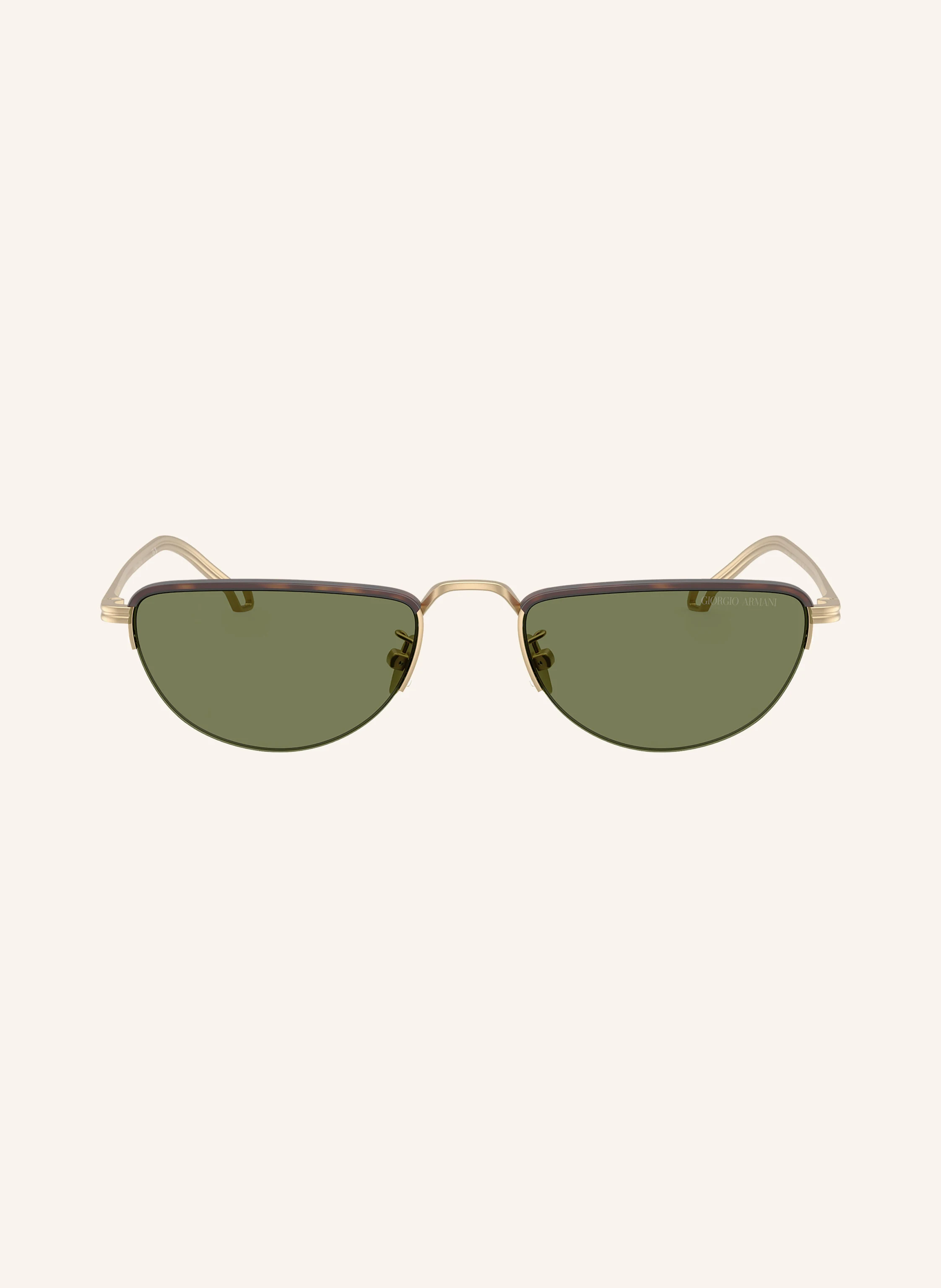 GIORGIO ARMANI Sonnenbrille AR6166J