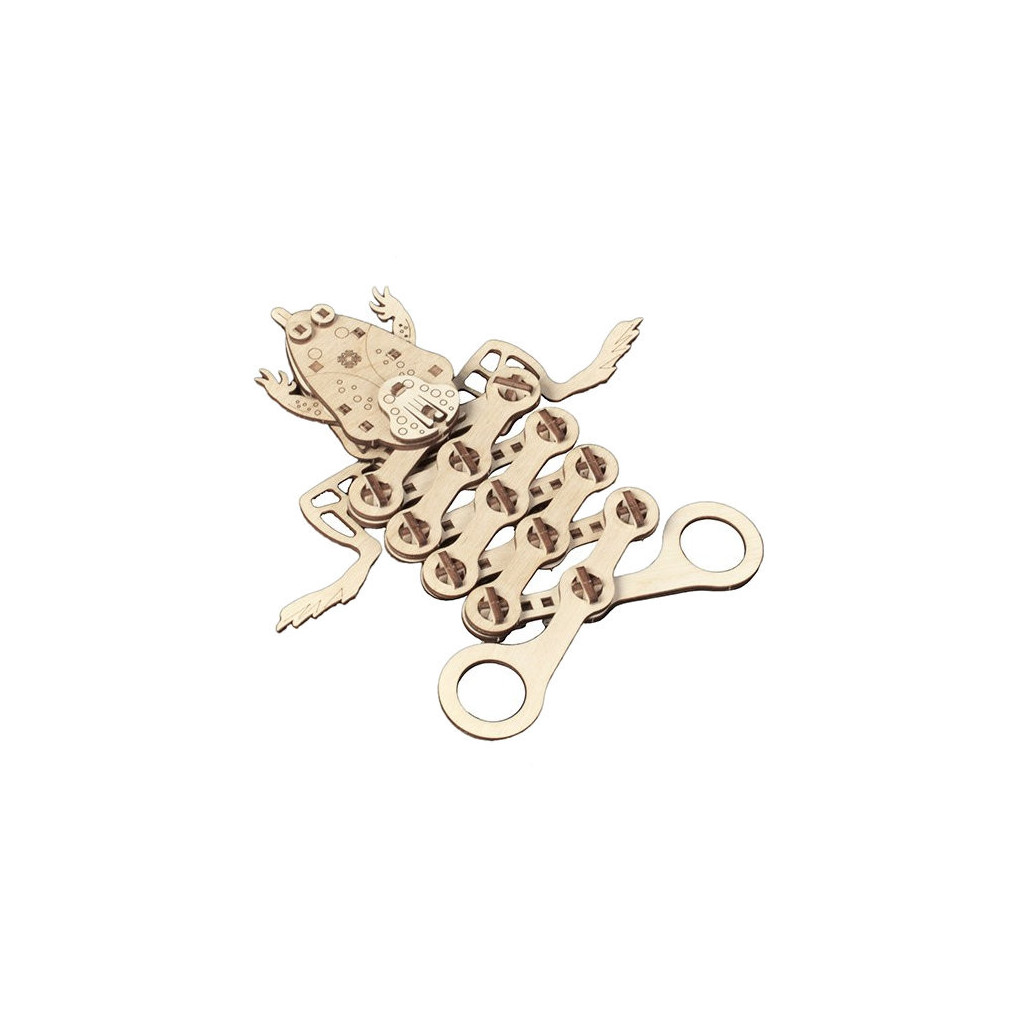 Mr Playwood - Grenouille