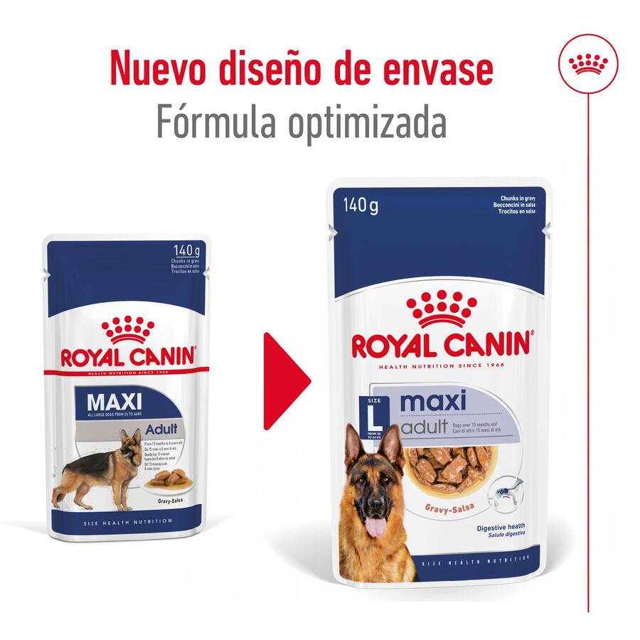 Royal Canin Maxi Adult Carne ao Molho para Cães