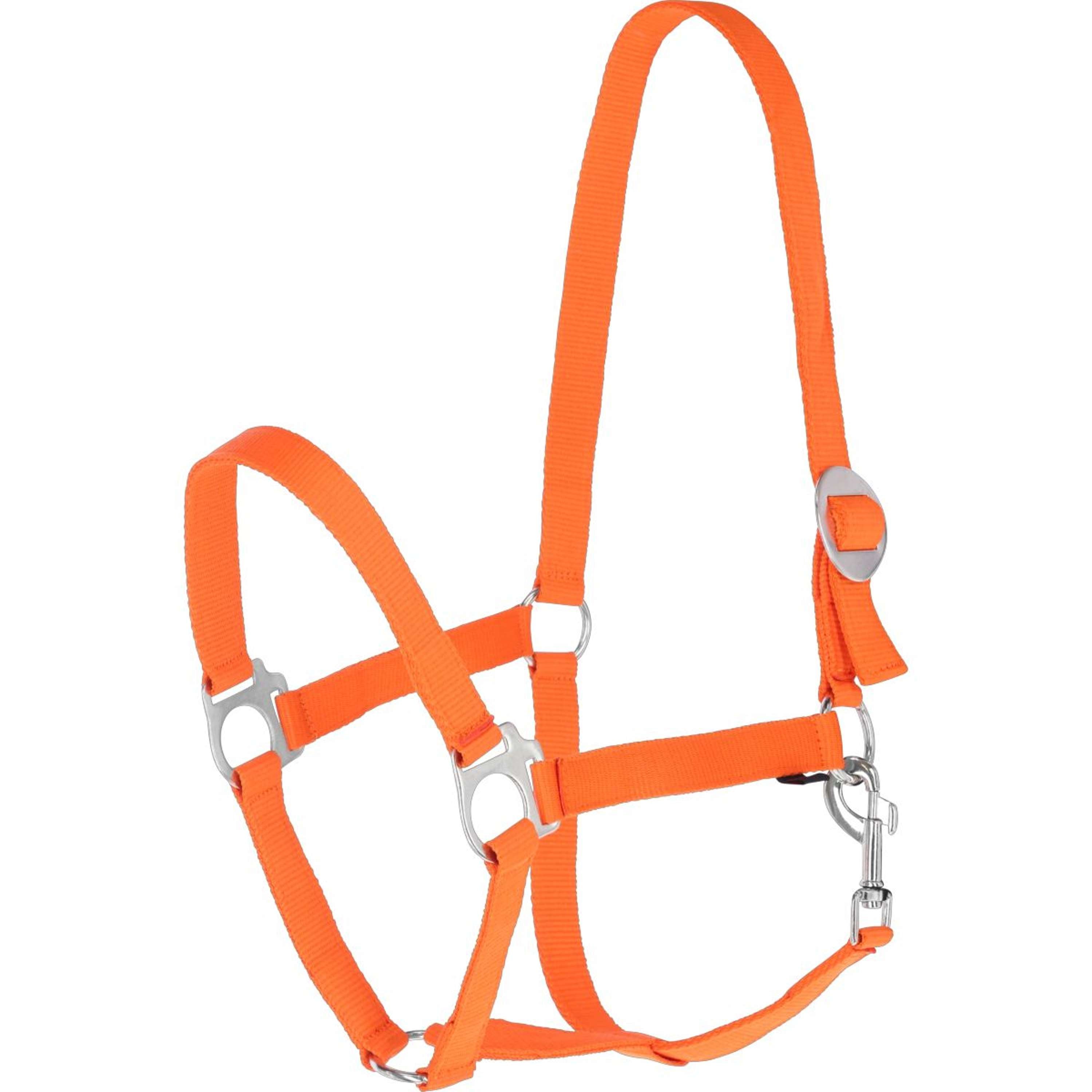 Covalliero Halster Hippo Oranje
