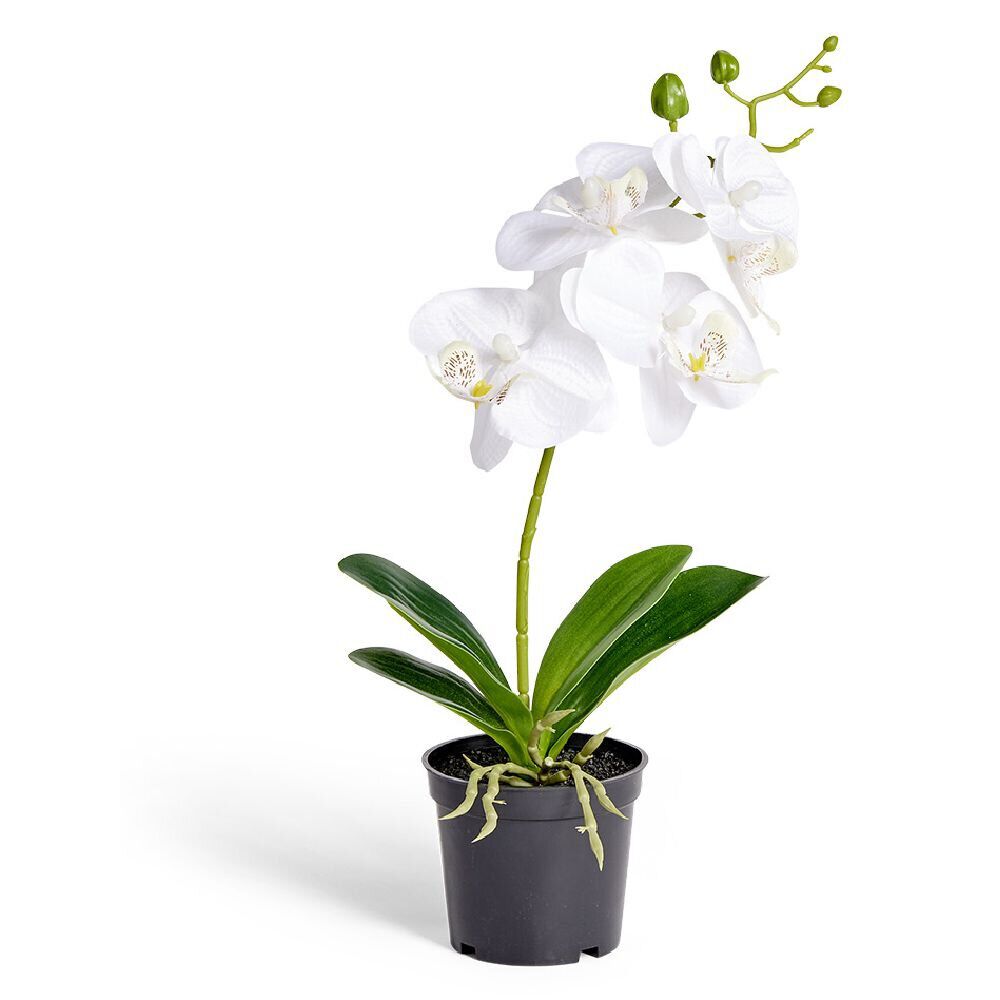 Orchidée artificielle blanche H38cm