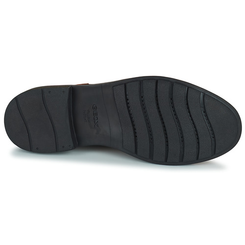 Geox - U VIGGIANO - Marron