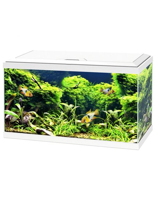 Ciano Aquarium 60 Led Cf80 60x30x34 cm - Aquaria