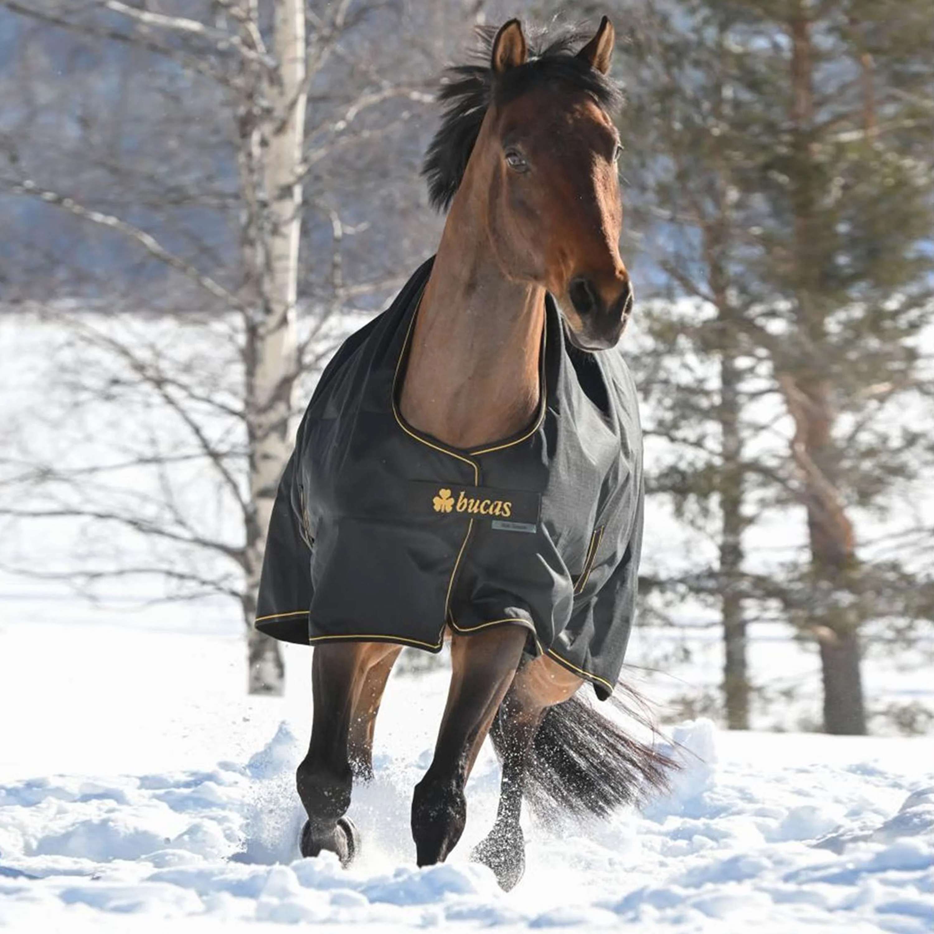 Bucas Irish Turnout 100g Black/Gold