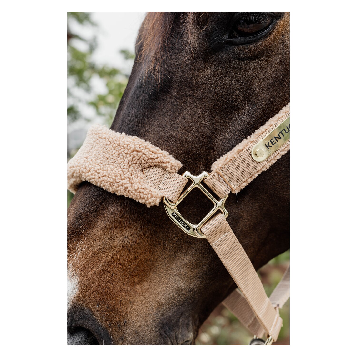KENTUCKY Teddyfleece-Halfter - beige