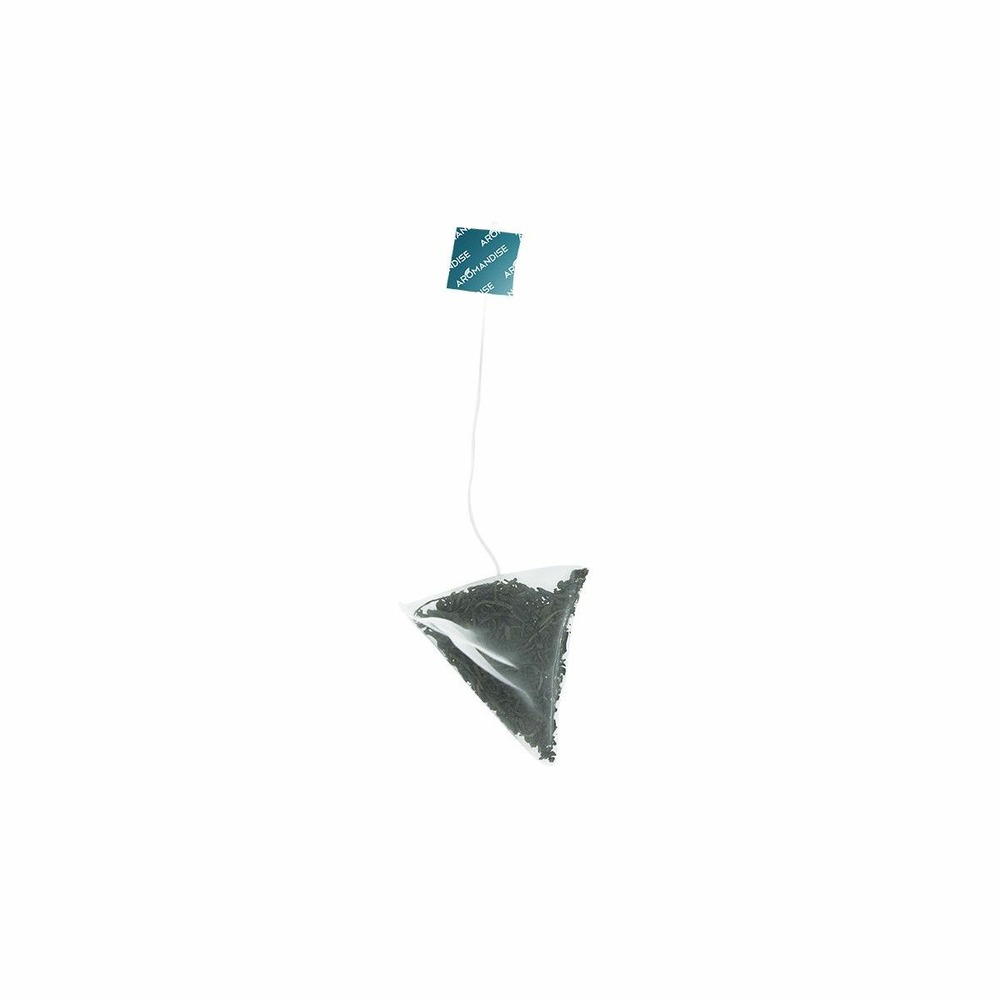 Thé vert glacé à la menthe bio 30 sachets