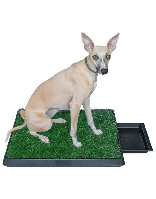 Adori Trainingsmat Gras - Hondentoilet - 50x63 cm Multi-Color