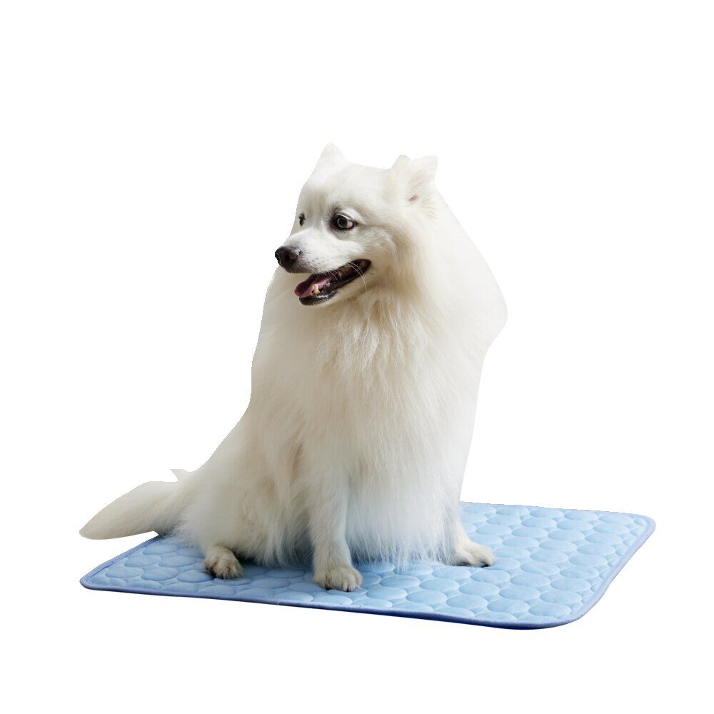 Tapis rafraîchissant pour chien 45x60cm