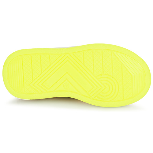 GBB - ROMANA - Rose