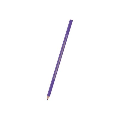 BIC Color UP! - 12 Crayons de couleur