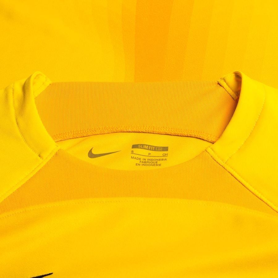Nike Maillot de Gardien Dri-FIT ADV Gardien IV - Jaune/Jaune Doré/Noir