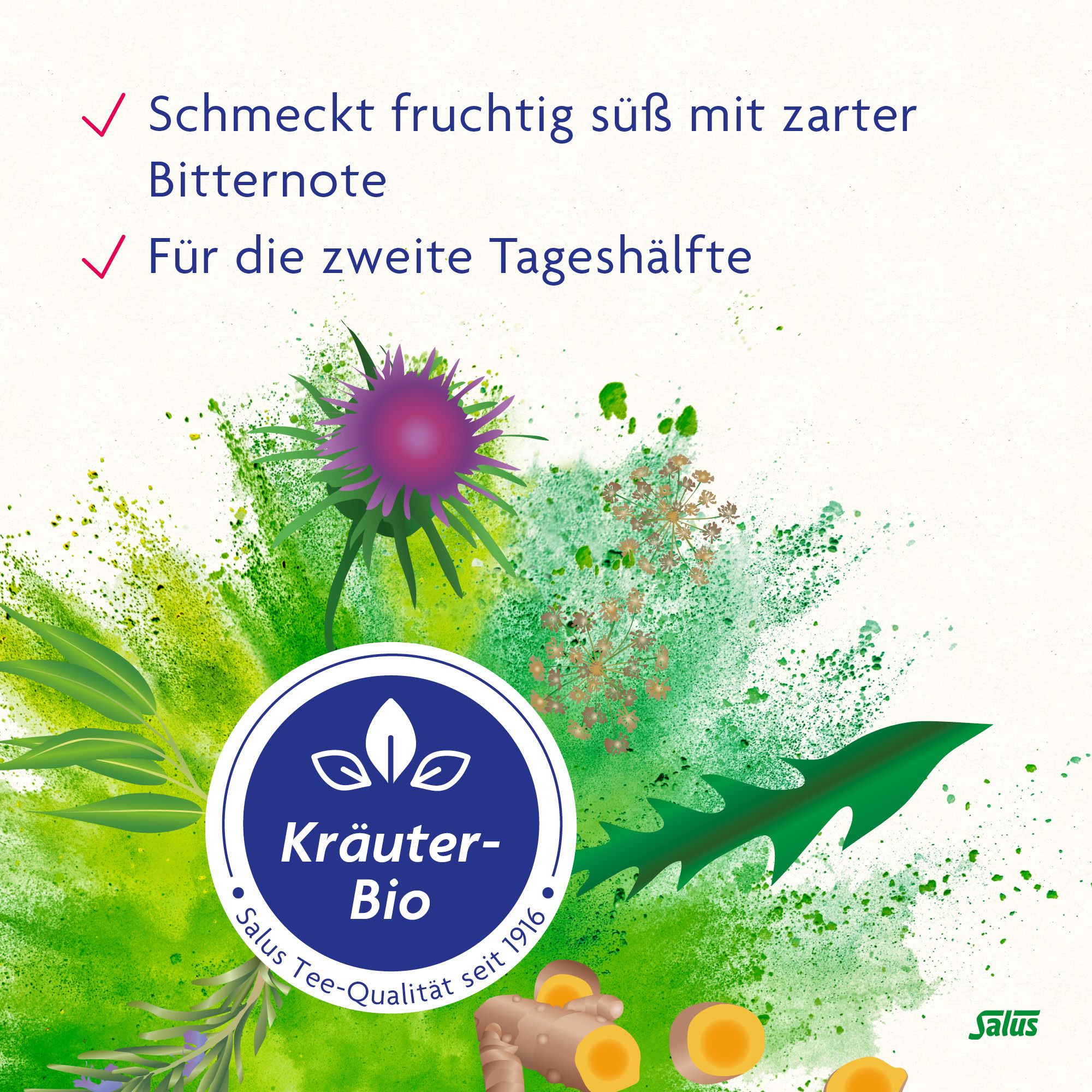 Salus® Basen-Aktiv® Kräutertee Maiendistel-Löwenzahn