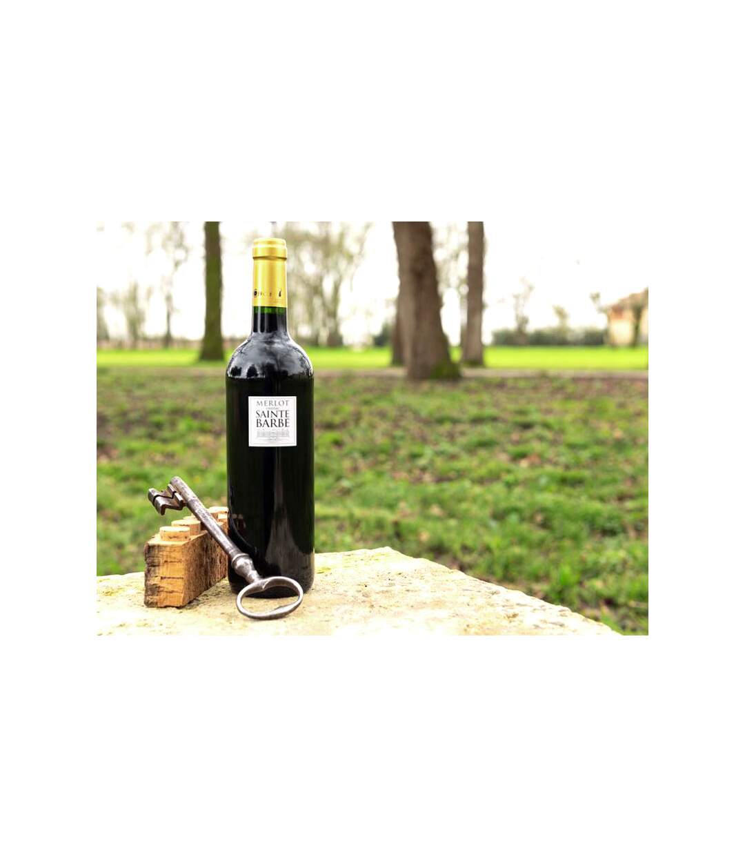Coffret 2 bouteilles de bordeaux rouge du Château Sainte Barbe - SMARTBOX - Coffret Cadeau Gastronomie