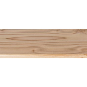 Tuinplank Douglas hout geschaafd 180 x 14 x 1,6 cm