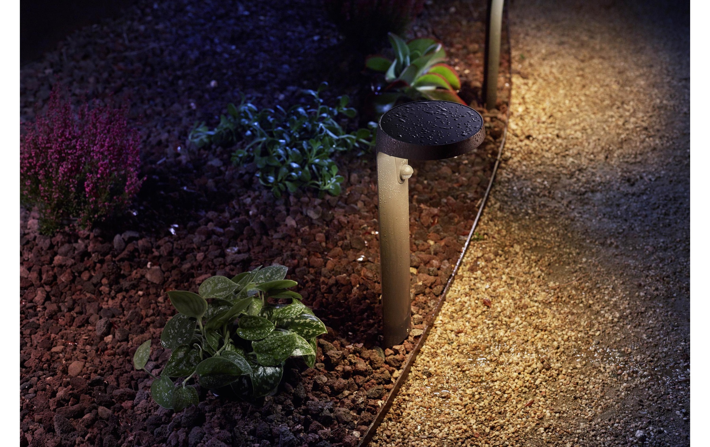 Philips Gartenleuchte »Tyla Ultra-Efficient anthrazit + Sensor« Warmweiss