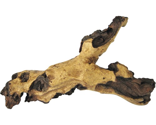 Aquariumdecoratie Mopani wortel klein