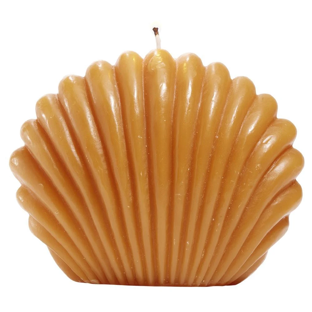 Bougie coquillage grand modèle 15x12,8xH9cm