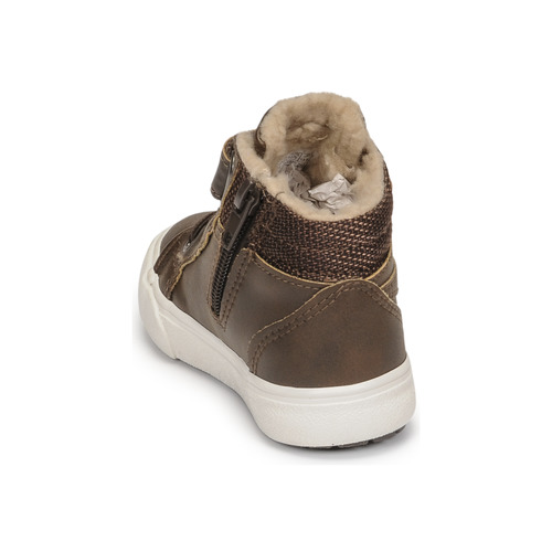 Kangaroos - KAVU III - Marron