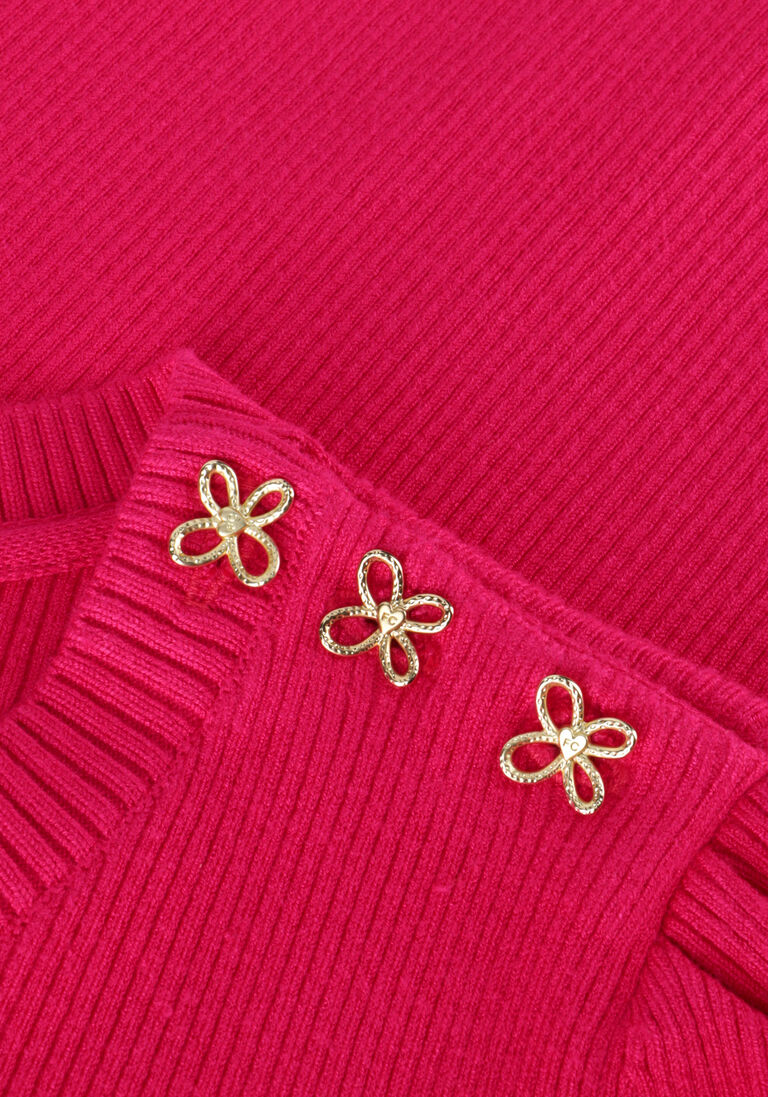 FABIENNE CHAPOT roze fabienne chapot trui lillian ss pullover