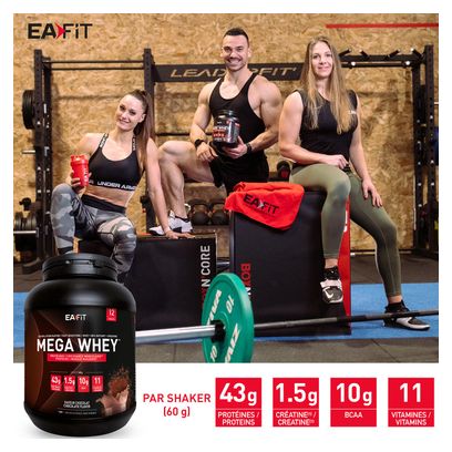 EAFIT Megawhey Vanille 750gr