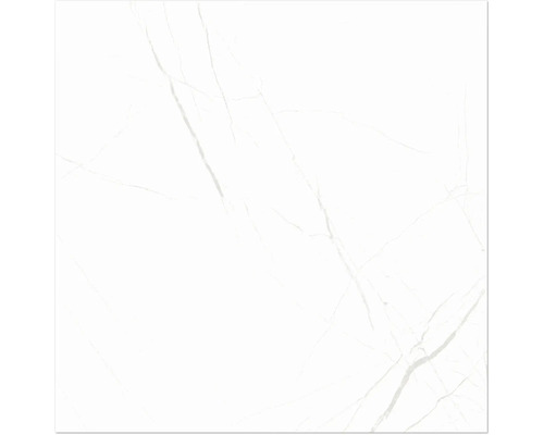 Steengoed wand- en vloertegel Davos wit 60 x 60 x 0,9 cm glanzend