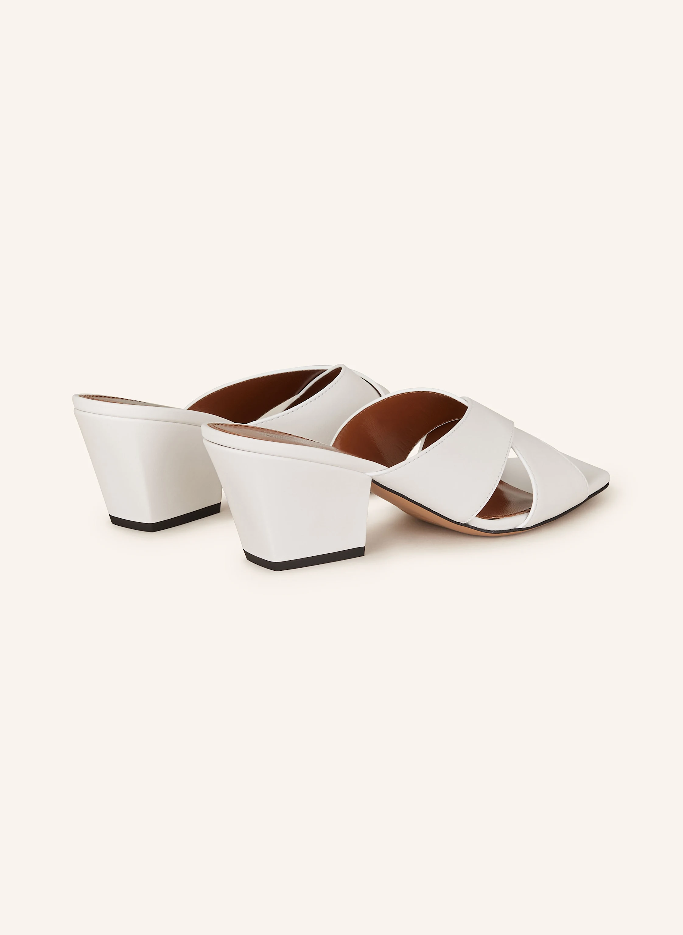 PARIS TEXAS Mules ARIZONA