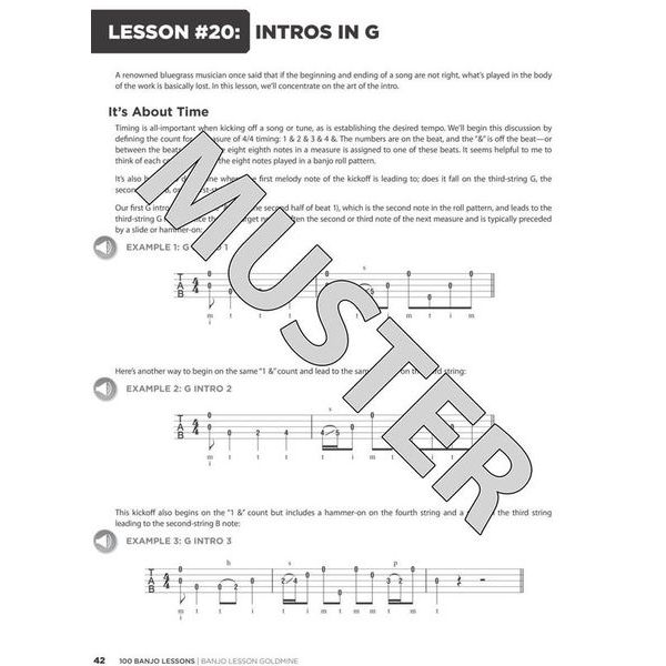 Hal Leonard 100 Banjo Lessons