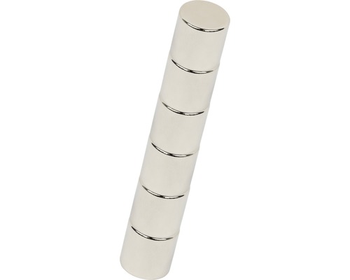 Neodymium schijfmagneet Ø 10x10 mm, 6 st.