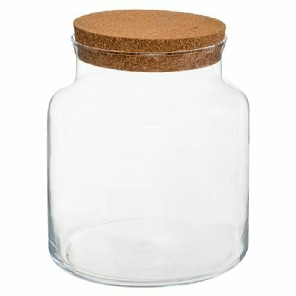 Bovaj Terrarium Transparent