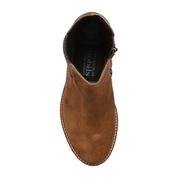 oliva  VELSPORT 3644  TOBACCO