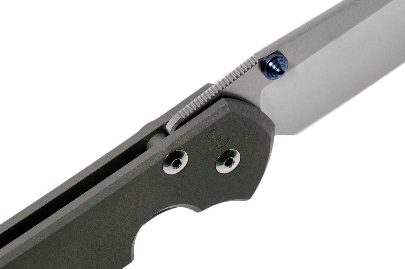 Chris Reeve Sebenza 31 Large Plain L31-1001 Linkshandig zakmes