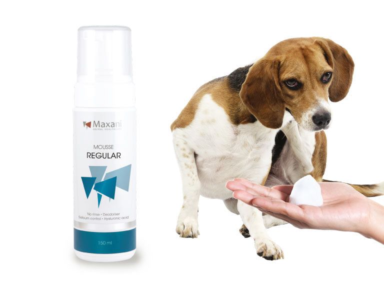 Maxani Regular Mousse