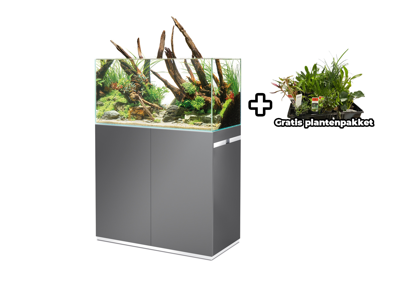 Oase ScaperLine 90 Set Grijs | Aquascaping