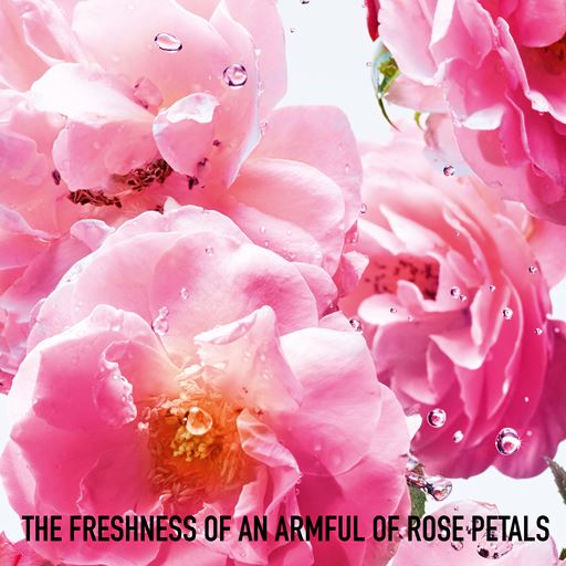 Dior Miss Rose N'Roses, 100 ml