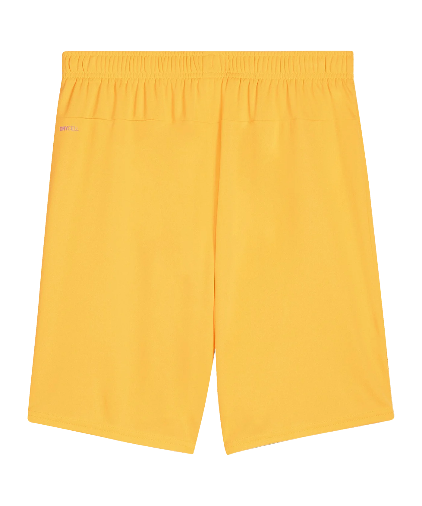 PUMA SK Rapid Wien Torwartshort 2024/2025 Orange F61