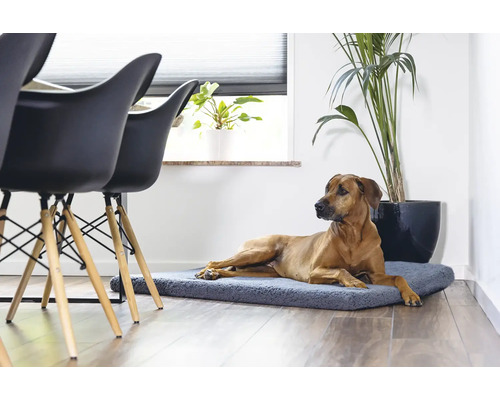 Beeztees Orthopedisch Hondenkussen Ito 121 x 78 cm Donkergrijs