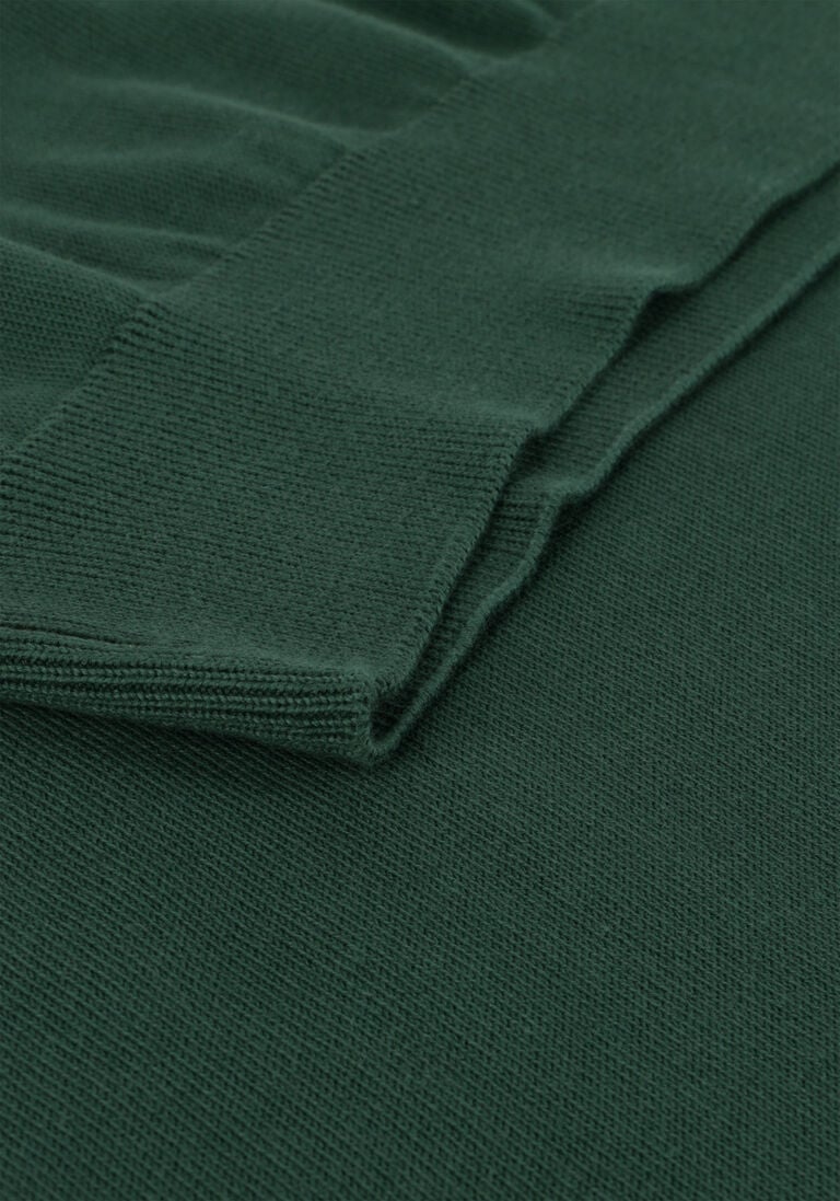 LACOSTE donkergroene lacoste trui 1ha1 men sweater