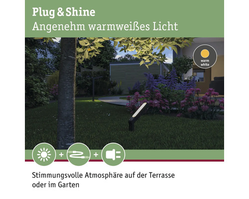 Paulmann Plug & Shine LED tuinspot 6W 450 lm 3000 K IP65 Ito verticaal enkel licht antraciet 230/24 V