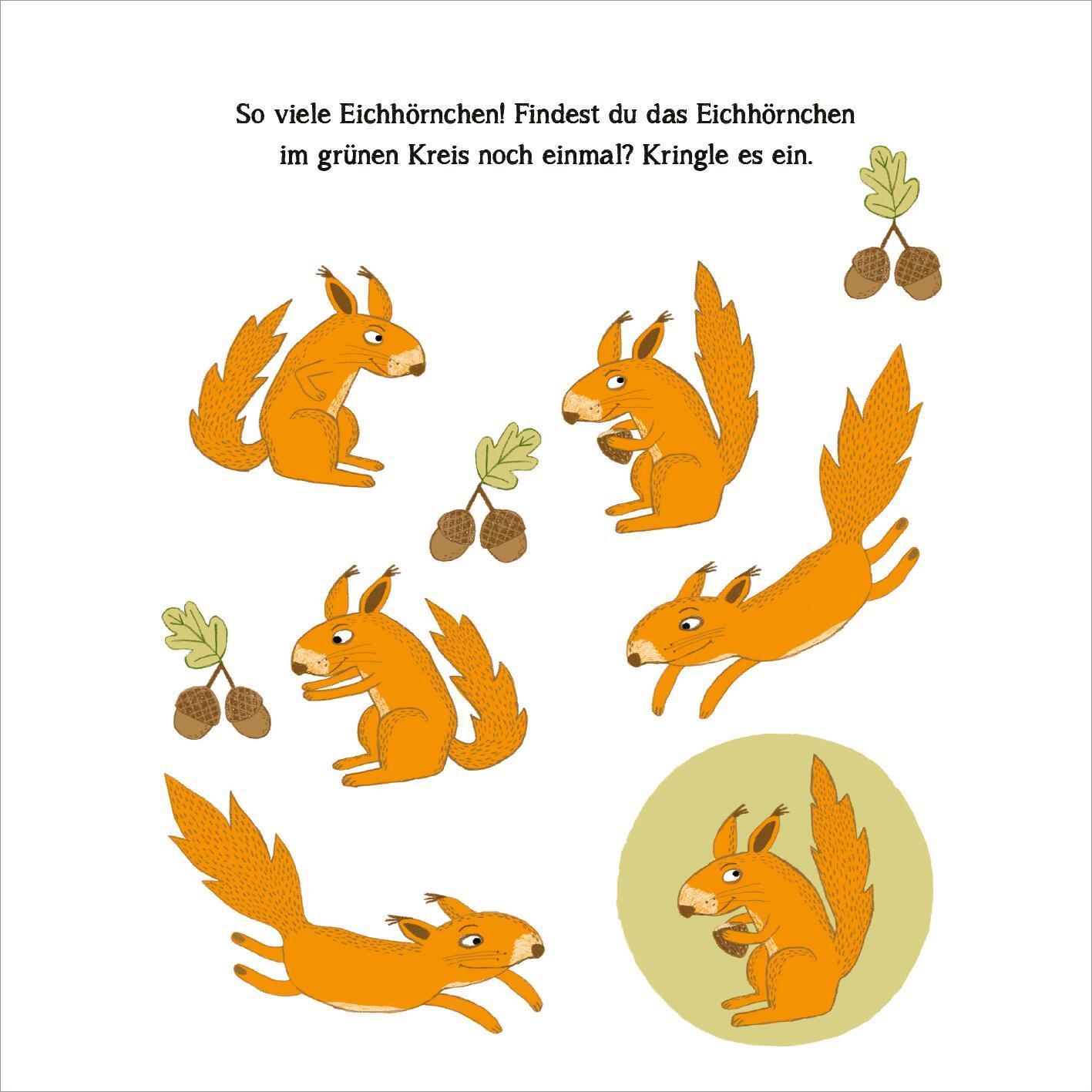 Naturrätsel im Herbst