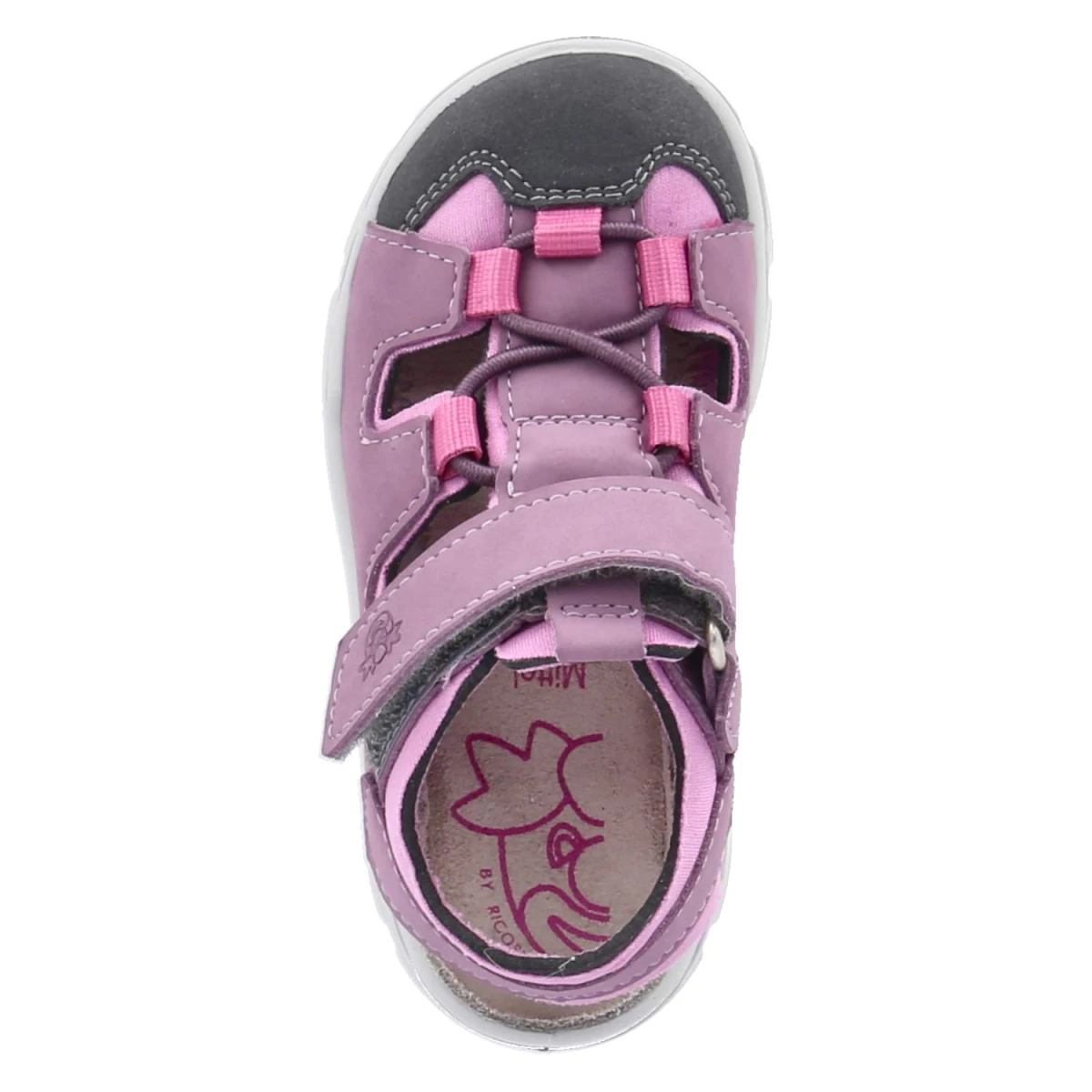 PepinoMiniletten GERY - purple/rosada