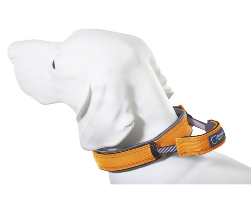 Halsband ArmoredTech Hondencontrole Maat XS 31 - 35 cm oranje