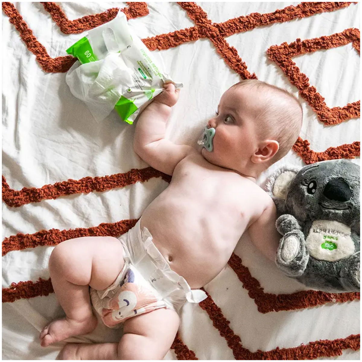 AlphanovaAlphanova   BIO Geburtsbox