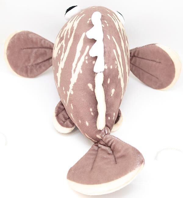 LES PELUCHES DE MARIUS - PELUCHE MEROU TOUT COURT