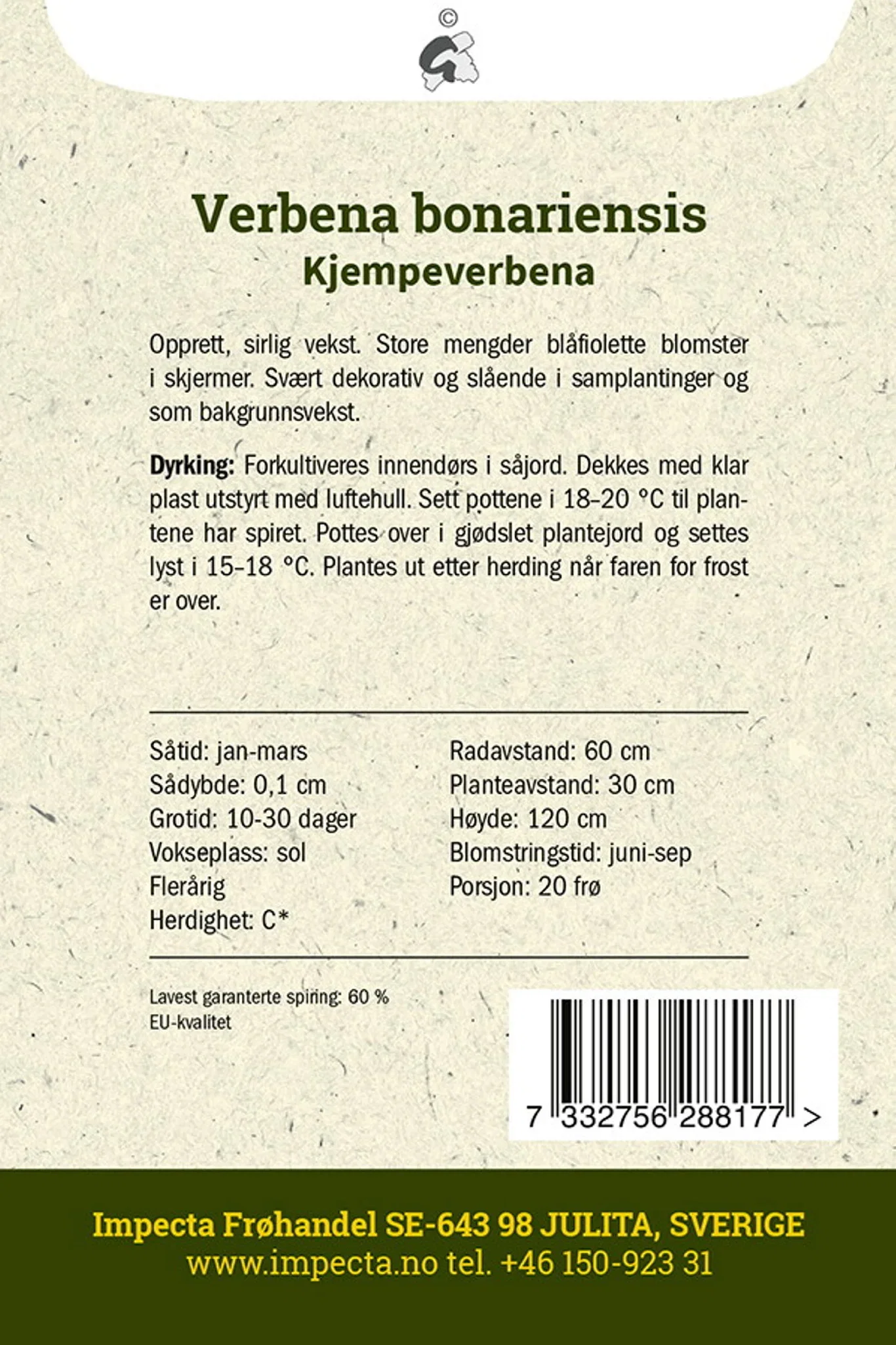 Verbena bonariensis Kjempeverbena